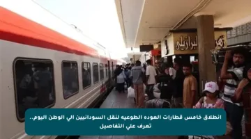 انطلاق خامس قطارات العودة الطوعية لنقل السودانيين إلى الوطن اليوم.. تعرف على التفاصيل